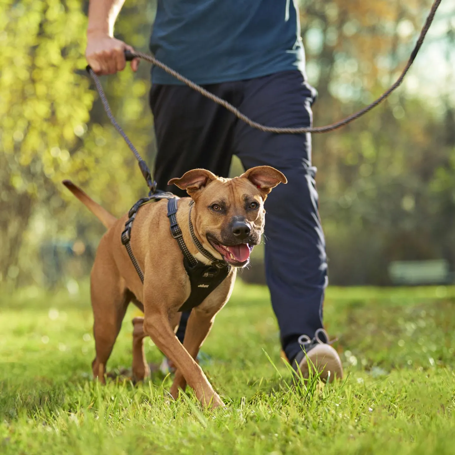 Discover Dog Reflective Rope 3/8in Black & Grey Dog Leash