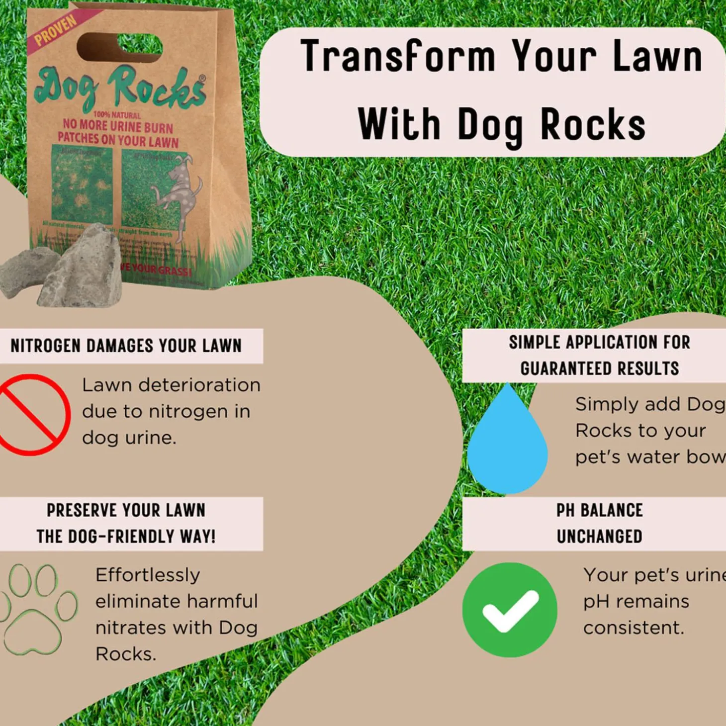 Dog Rocks