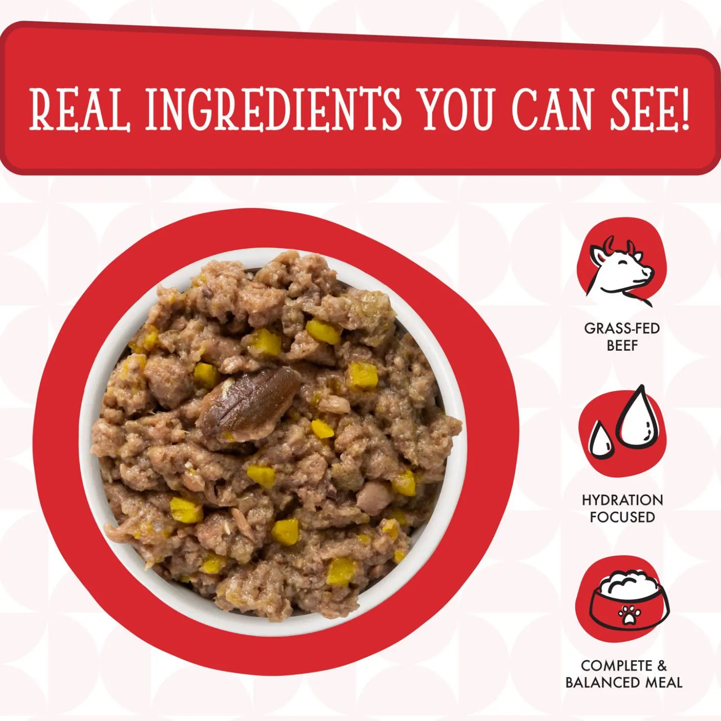 Dogs in the Kitchen The Double Dip with Beef & Wild-Caught Salmon Adult Dog Food