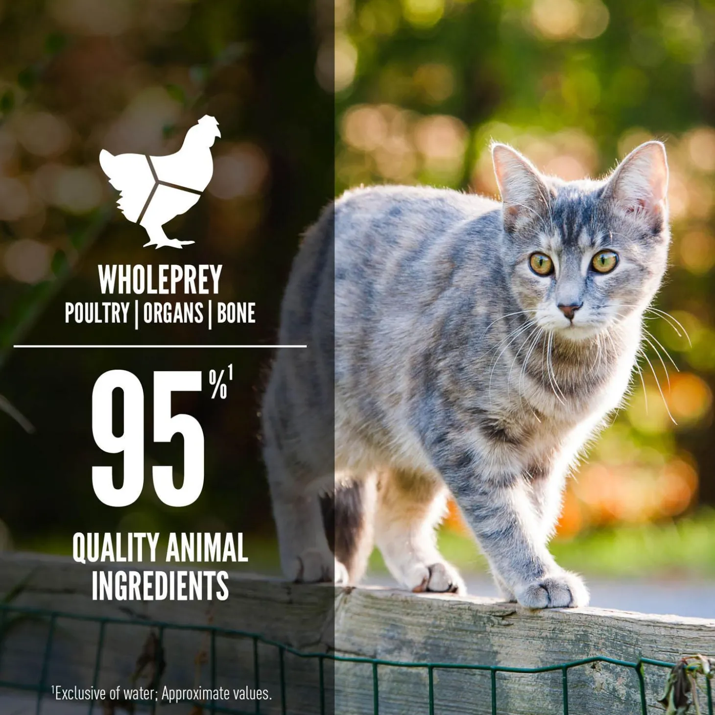 Duck & Chicken Entree Adult Cat Food