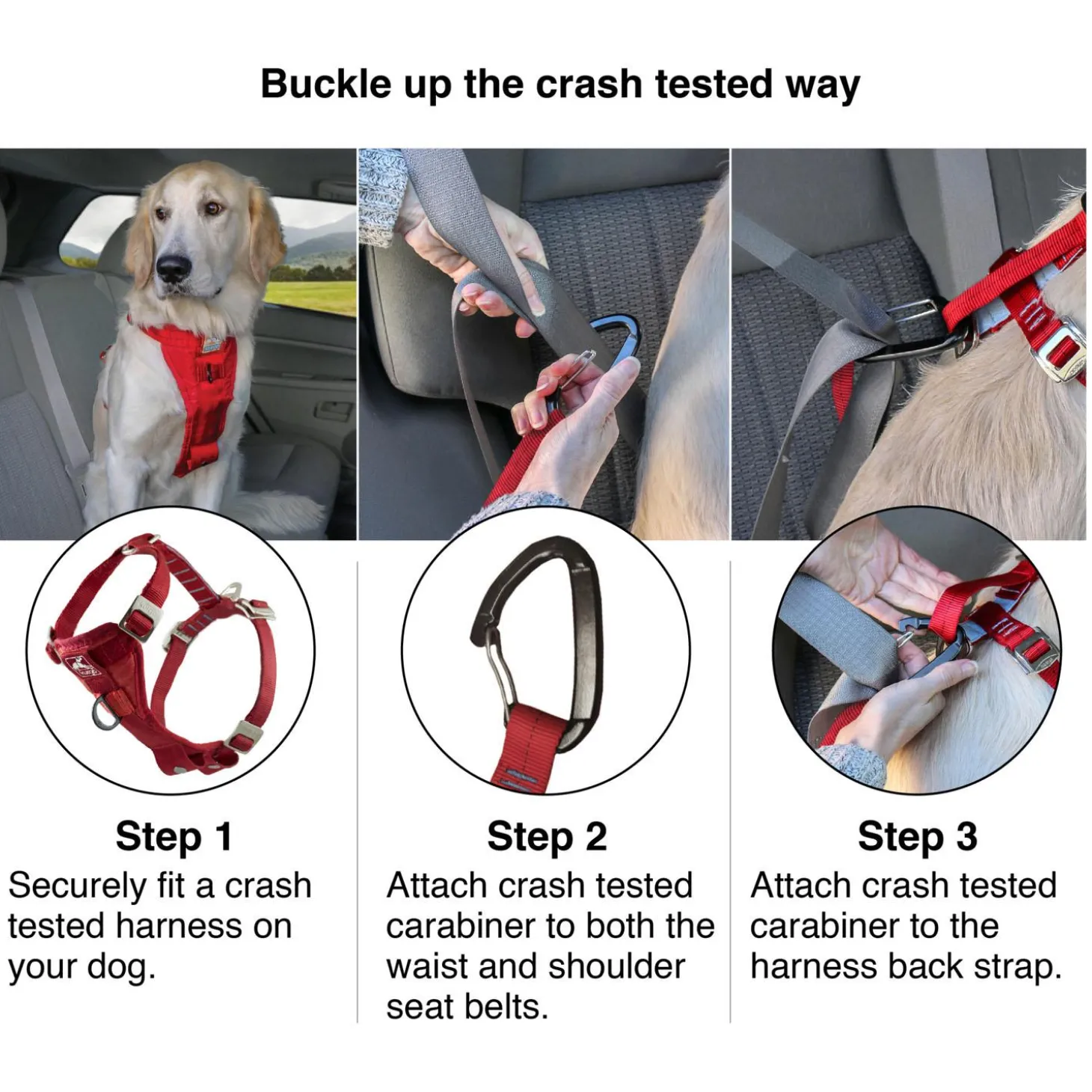 Enhanced Strength Tru-Fit Black Dog Car Harness & Seatbelt Tether