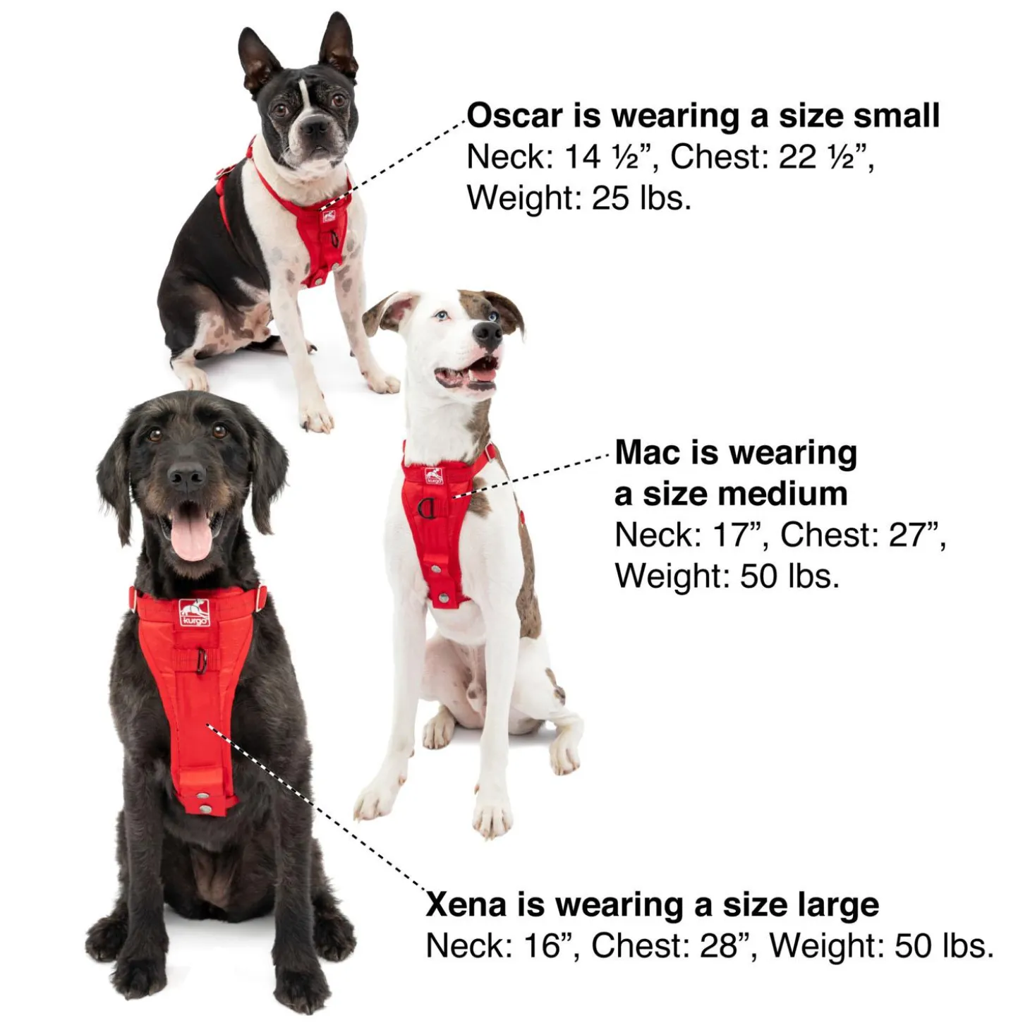 Enhanced Strength Tru-Fit Black Dog Car Harness & Seatbelt Tether