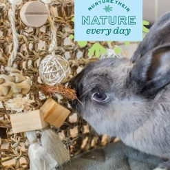 Enriched Life Play Wall Small Animal Toy