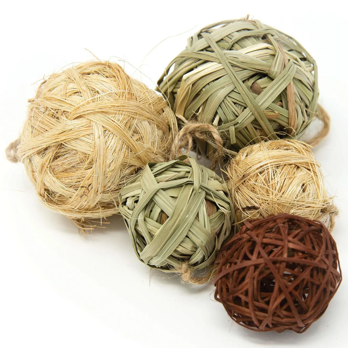 Enriched Life Roll Arounds Small Animal Toy