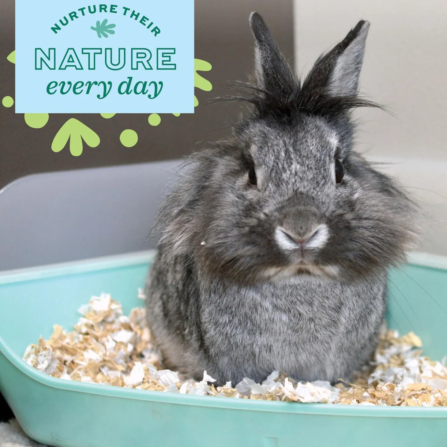 Enriched Life Small Animal Corner Litter Pan & Removeable Shield