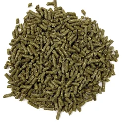 Essentials Adult Guinea Pig Food