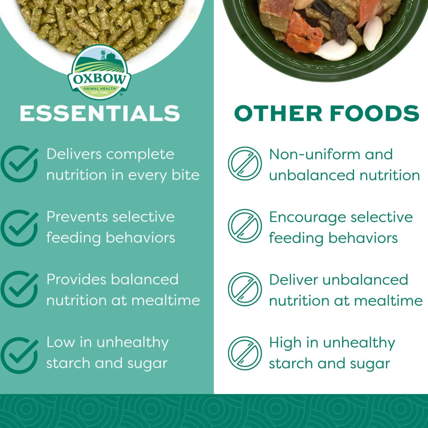 Essentials Adult Rat Food