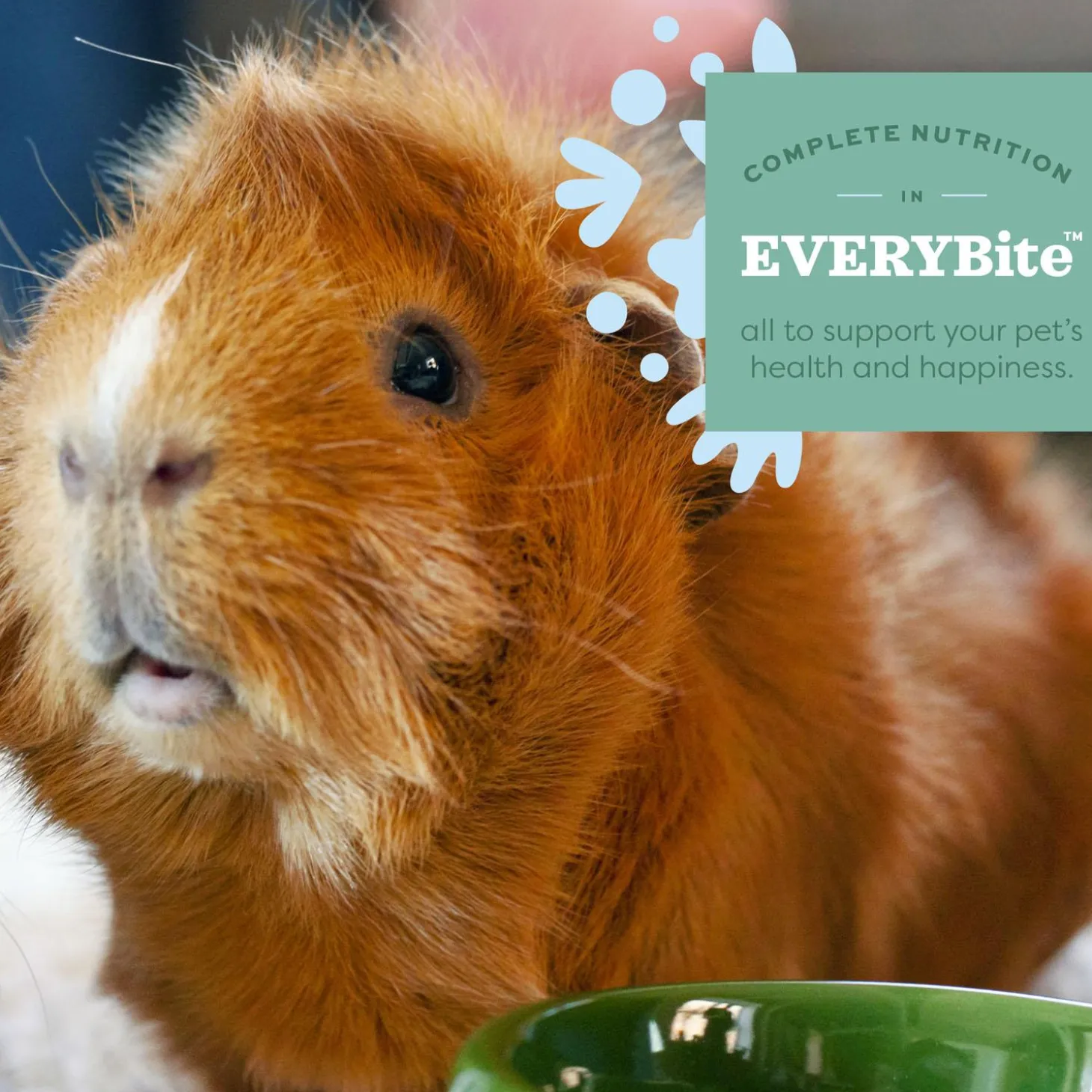 Essentials Senior Guinea Pig Food