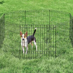 Exercise Pen with Door