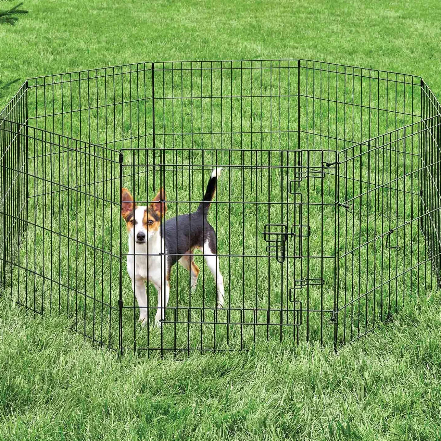Exercise Pen with Door