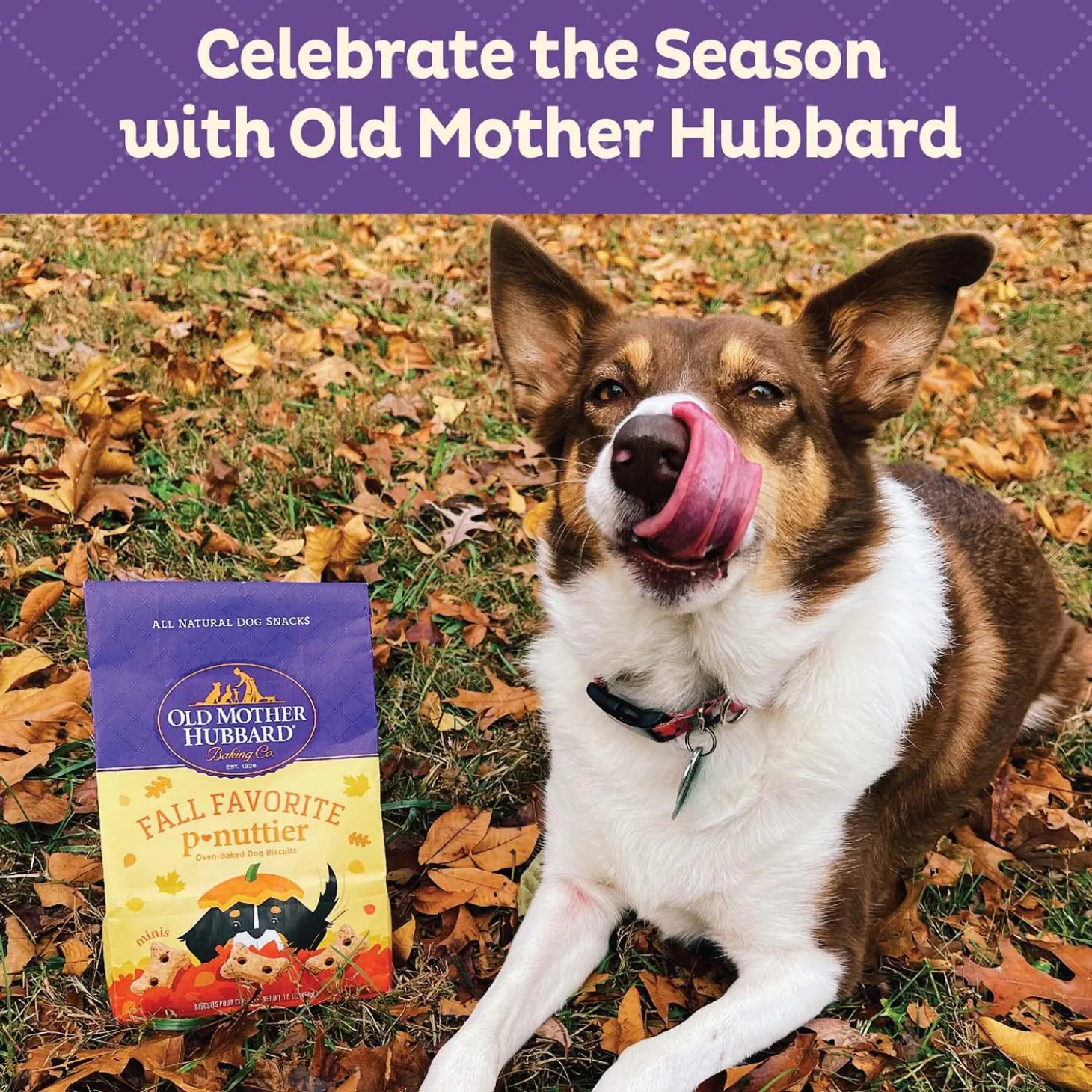 Fall Favourite P-Nuttier Oven Baked Dog Treats