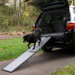 Feather-Lite Ramp