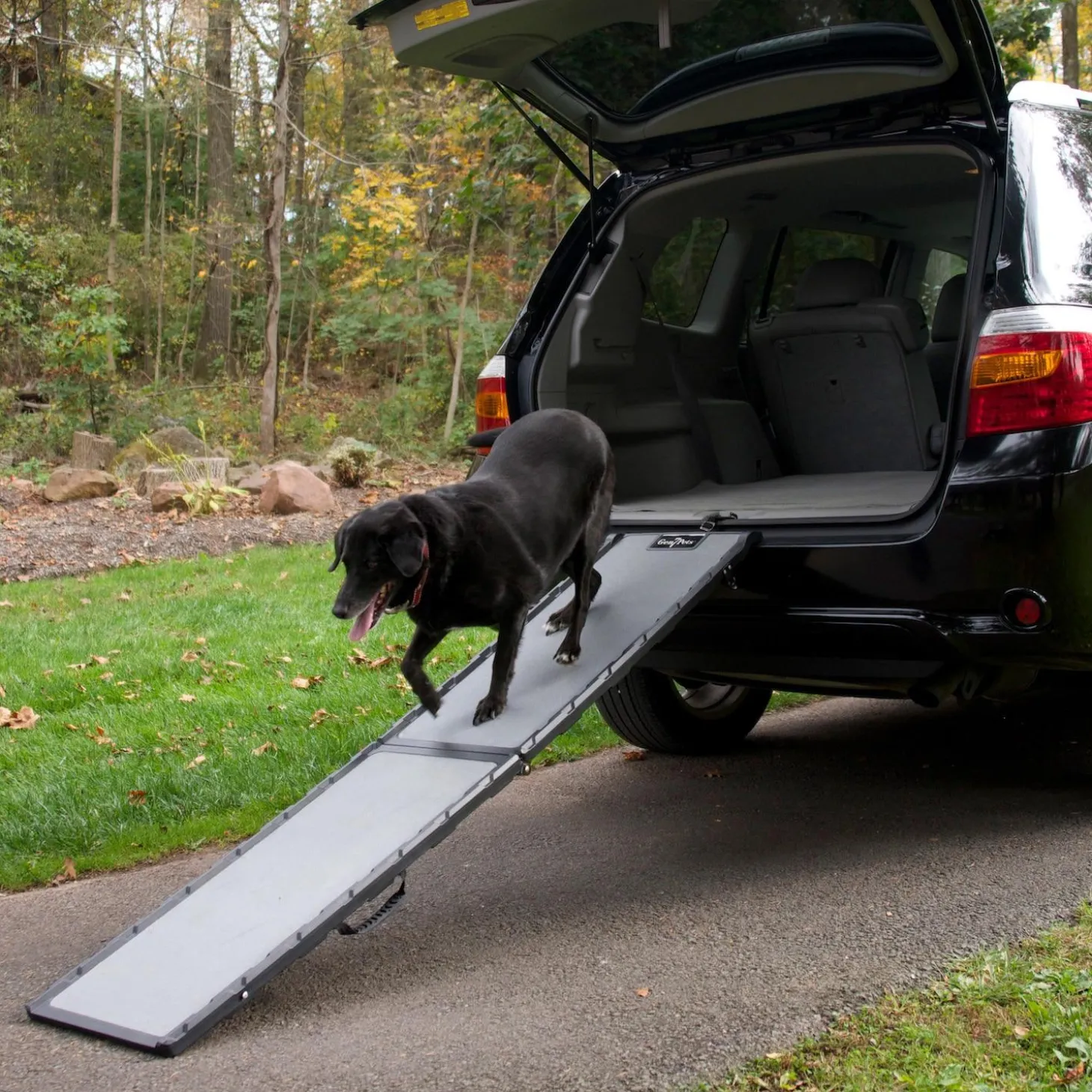 Feather-Lite Ramp