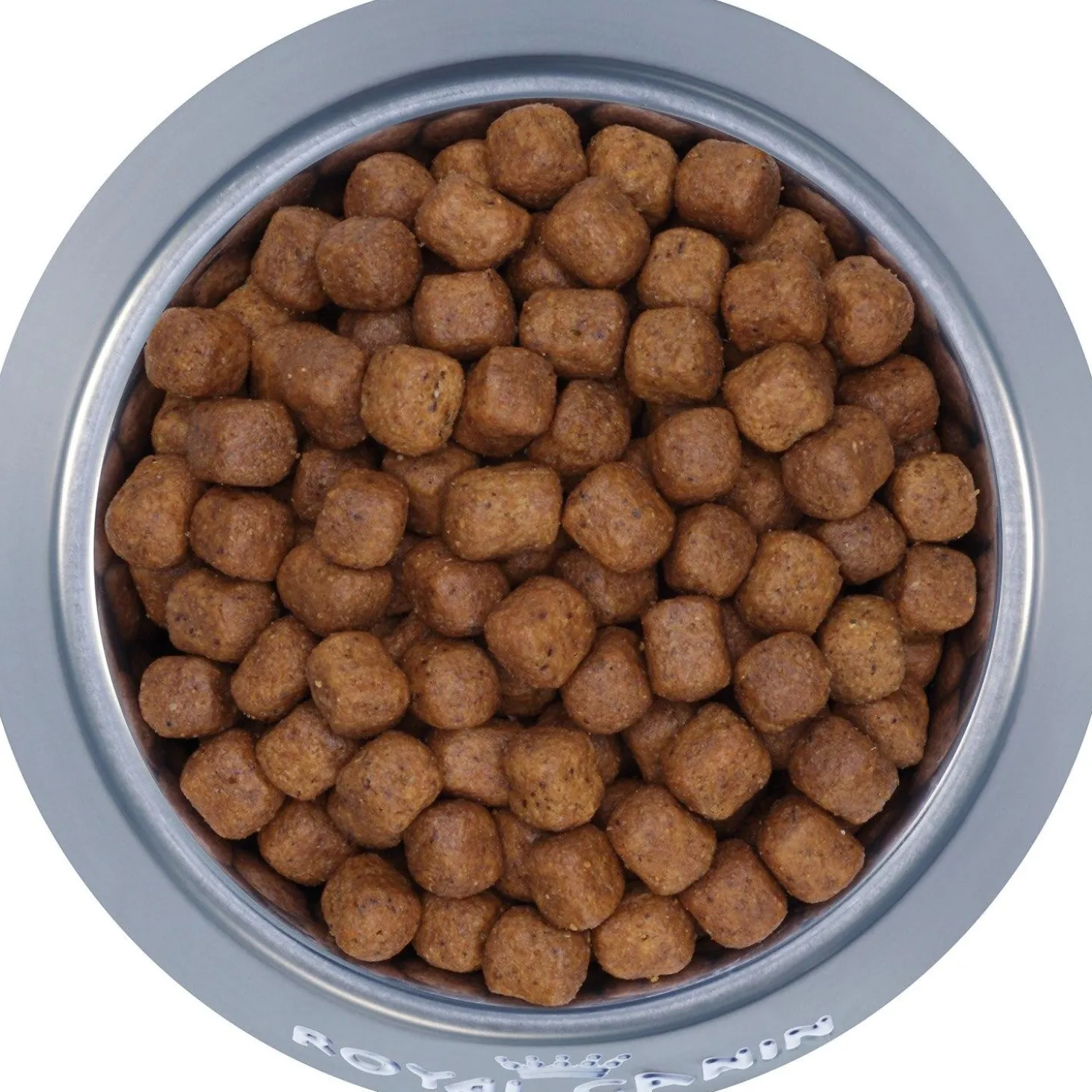 Feline Breed Nutrition Maine Coon Adult Cat Food