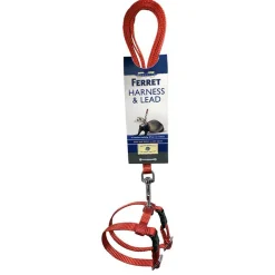 Ferret Red Harness & Lead