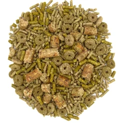 Forage Wise Daily Adult Guinea Pig Food