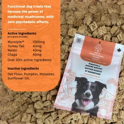 Functional Fungi Digestion & Immune Support Pumpkin Dog Treats