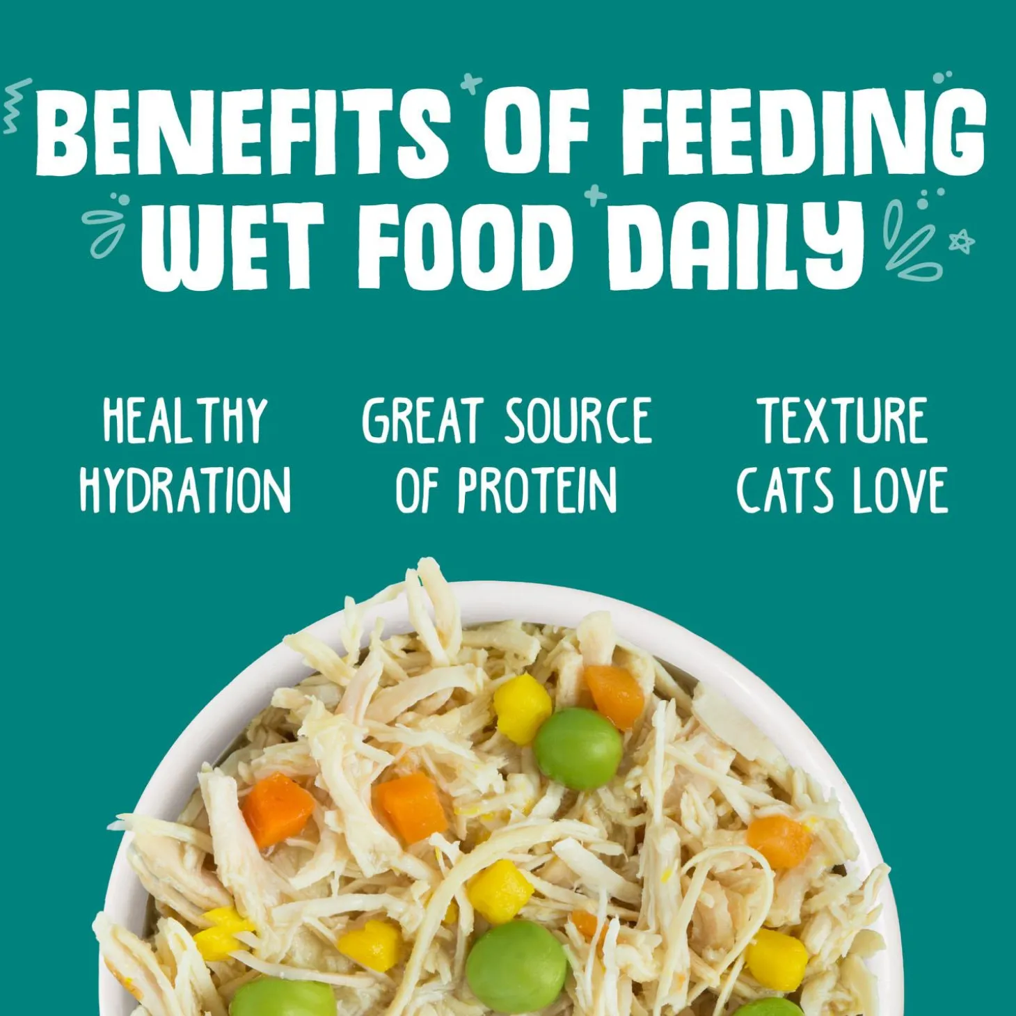Funky Chunky Chicken Soup with Pumpkin Adult Cat Food