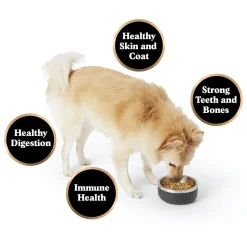 Gently Cooked Fish Florentine Adult Dog Food