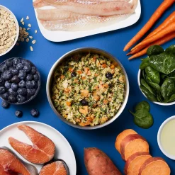 Gently Cooked Fish Florentine Adult Dog Food