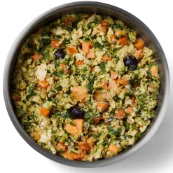 Gently Cooked Fish Florentine Adult Dog Food