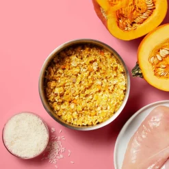 Gently Cooked Tummy Calmer Adult Dog Food