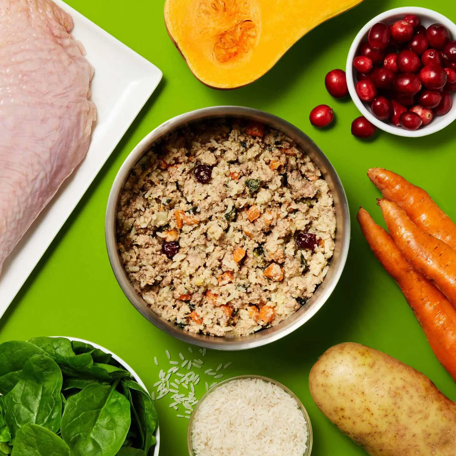 Gently Cooked Turkey Dinner Adult Dog Food