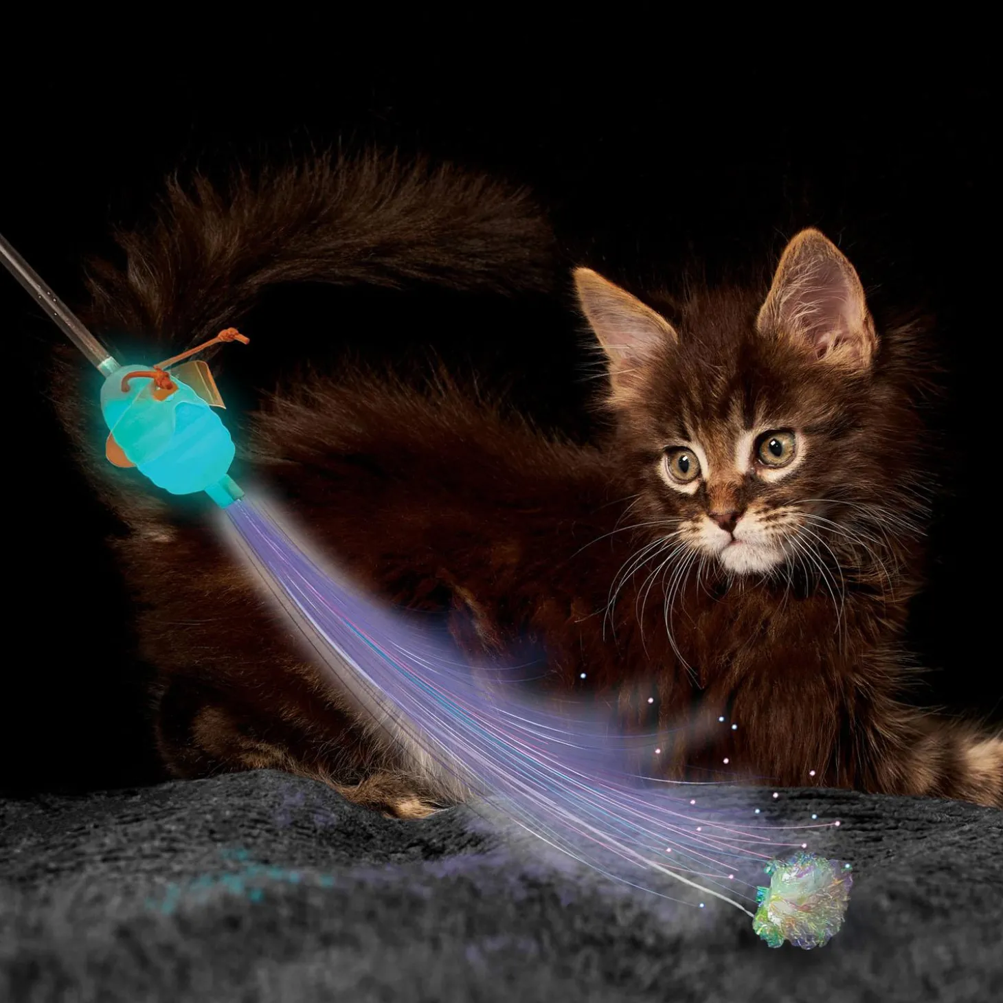 Glow Firefly Teaser Cat Toy