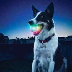 GlowStreak Disc-O LED Ball Dog Toy