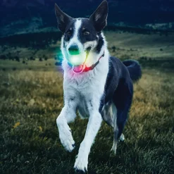 GlowStreak Disc-O LED Ball Dog Toy