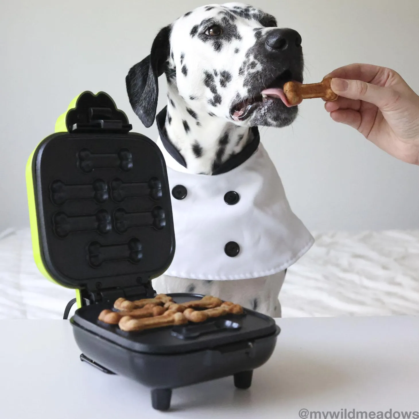 GoodBone Dog Treat Maker