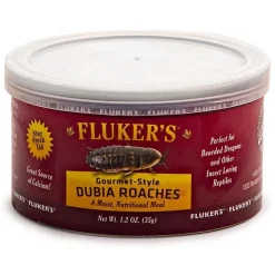 Gourmet-Style Dubia Roaches Reptile Food
