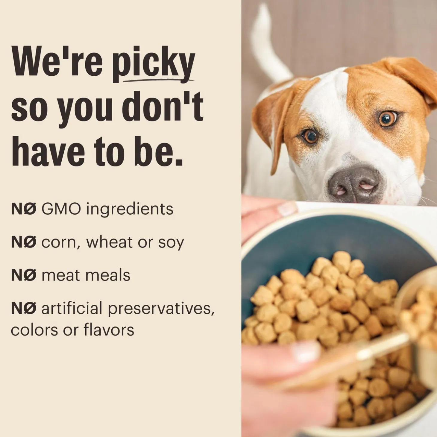 Grain Free Clusters Beef Recipe Dog Food
