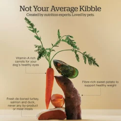 Grain-Free Lamb & Pork Recipe Adult Dog Food