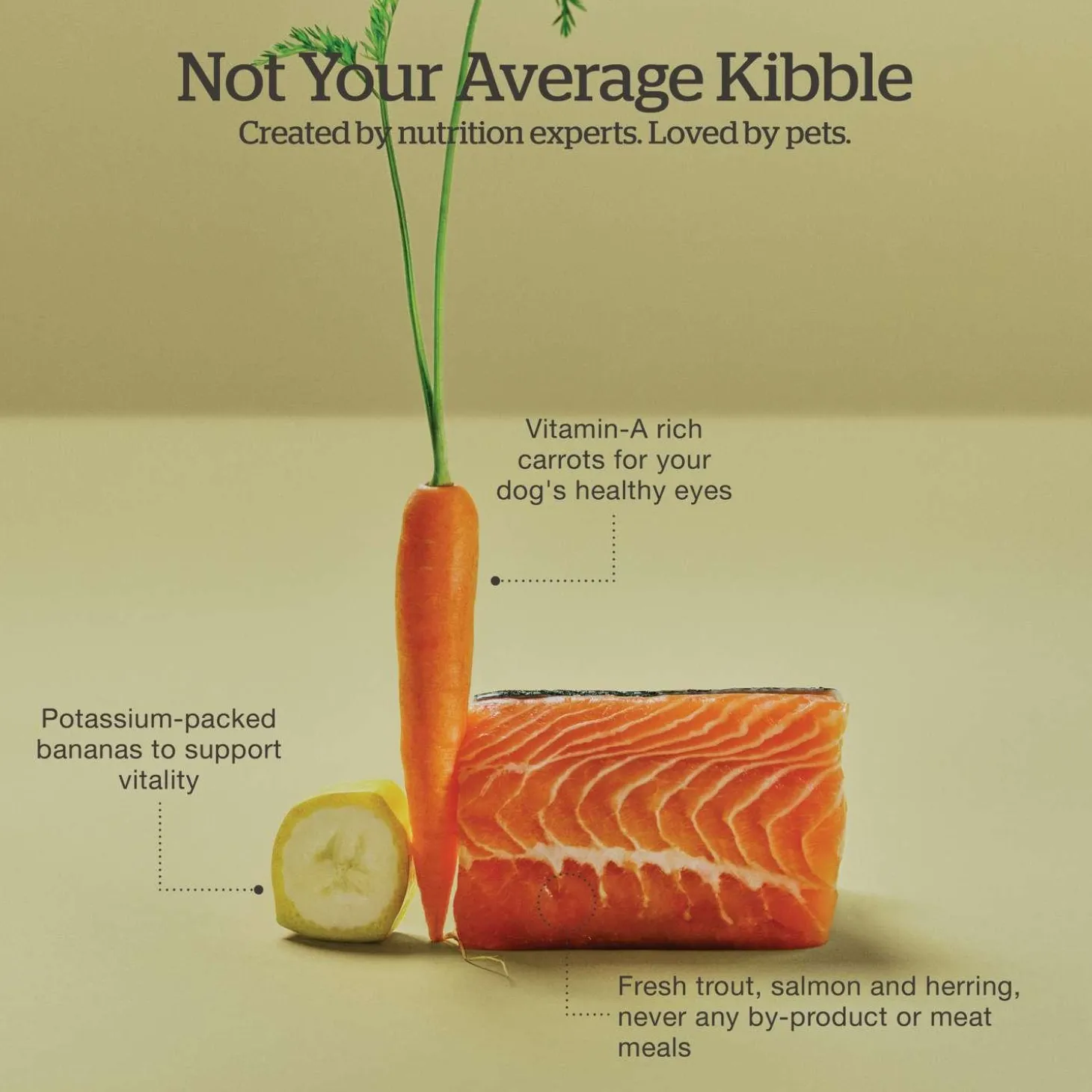 Grain-Free Trout, Salmon & Herring Recipe Small Breed Adult Dog Food