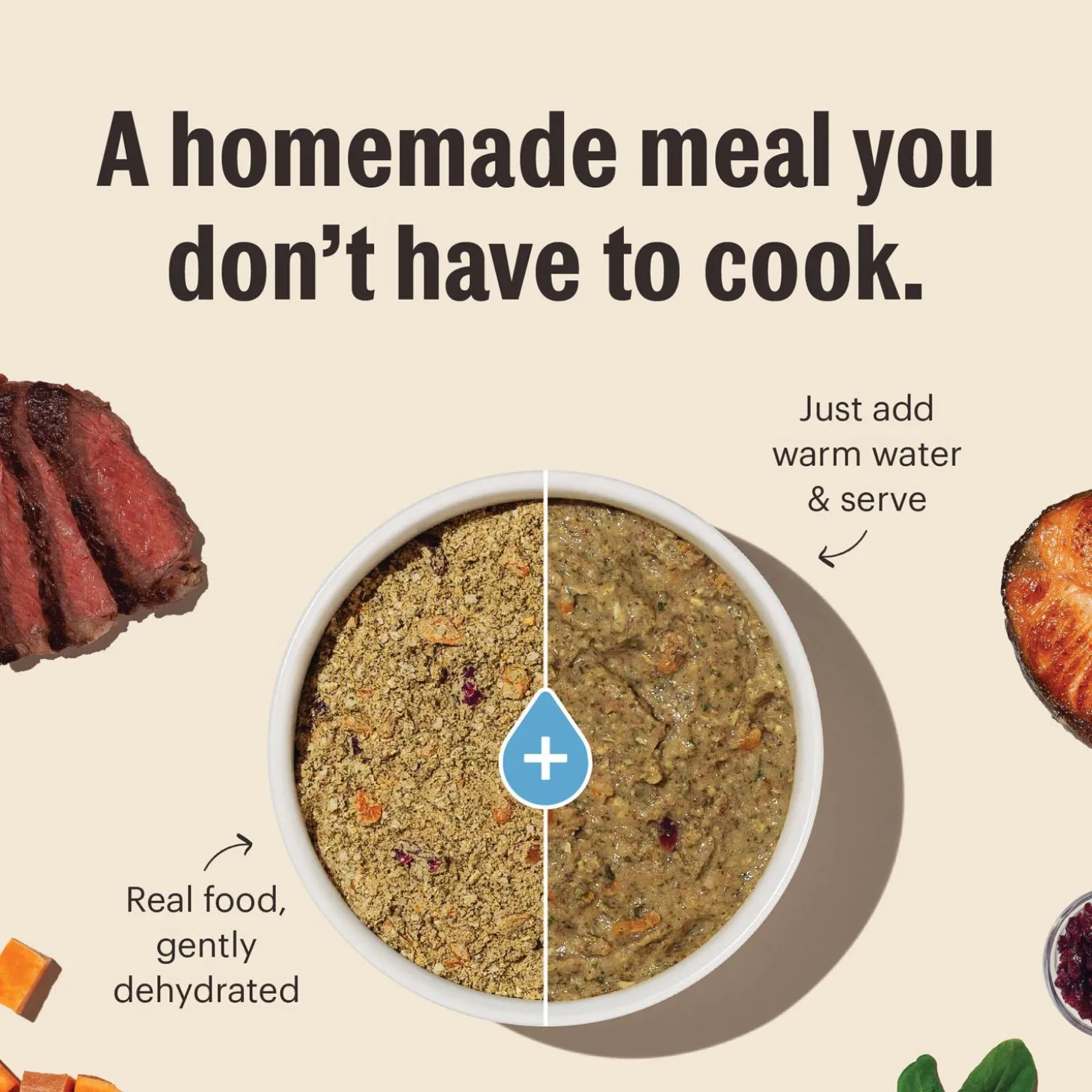 Grain Free Turkey Recipe Dog Food