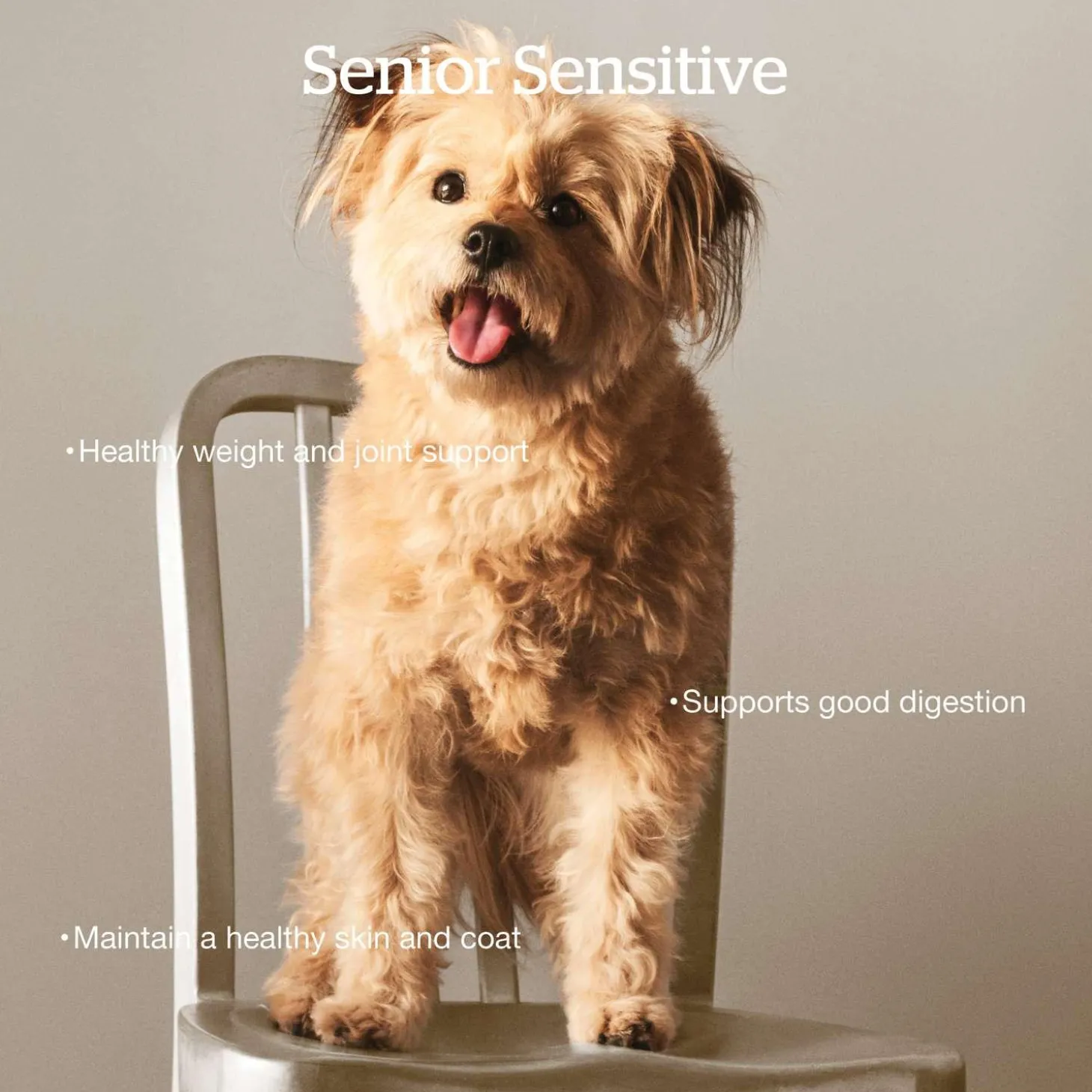 Grain-Free Turkey, Salmon & Duck Recipe Senior Dog Food