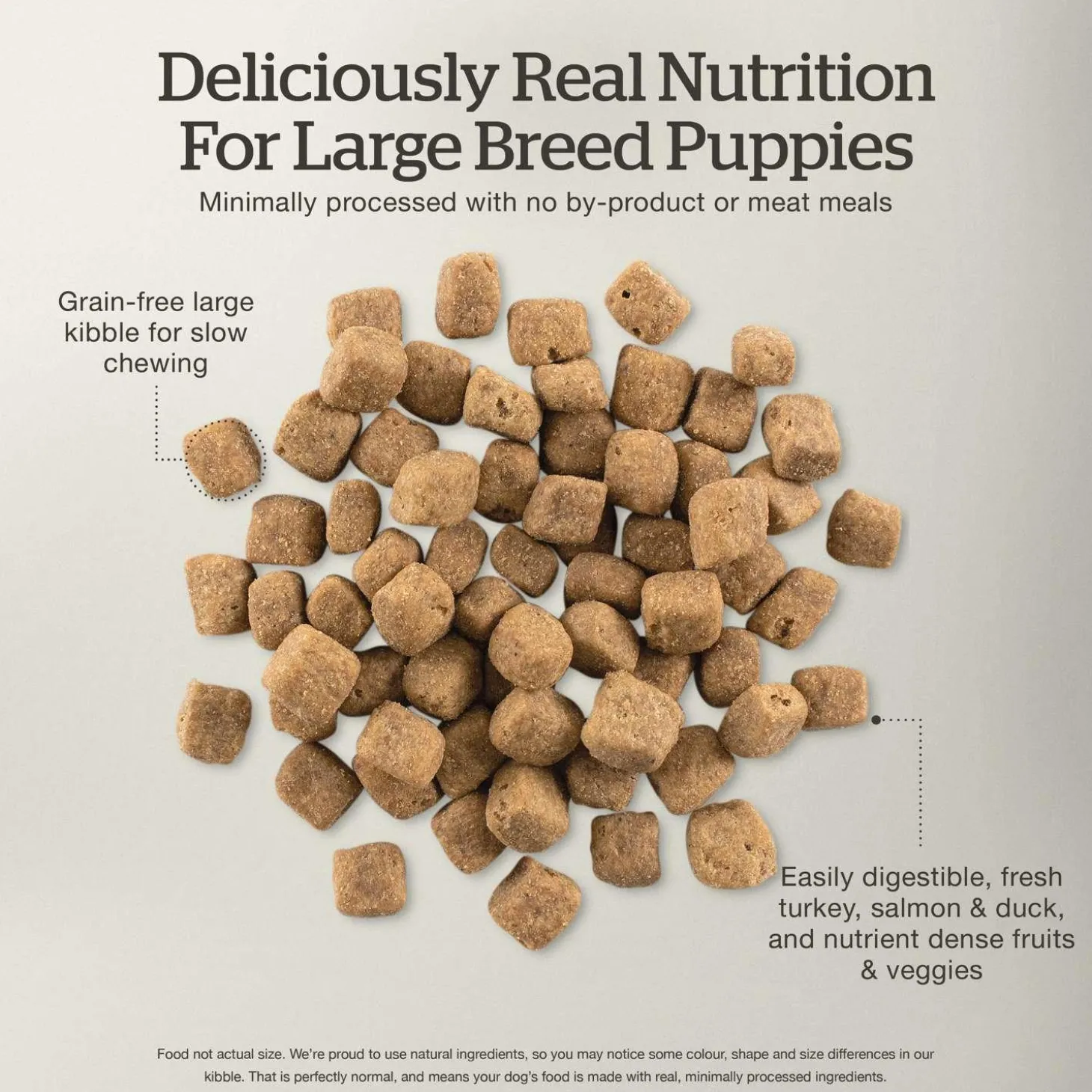 Grain-Free Turkey, Salmon & Duck Recipe Large Breed Puppy Dog Food