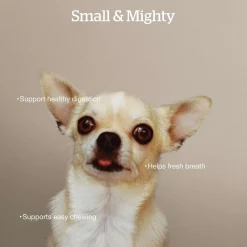 Grain-Free Turkey, Salmon & Duck Recipe Small Breed Adult Dog Food