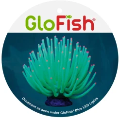 Green Anemone
