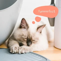 Grey Litter Mat