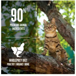 Guardian 8 Cat Food