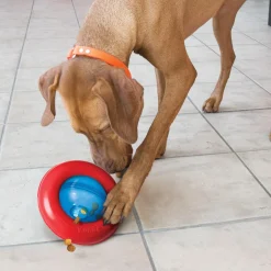 Gyro Dog Toy