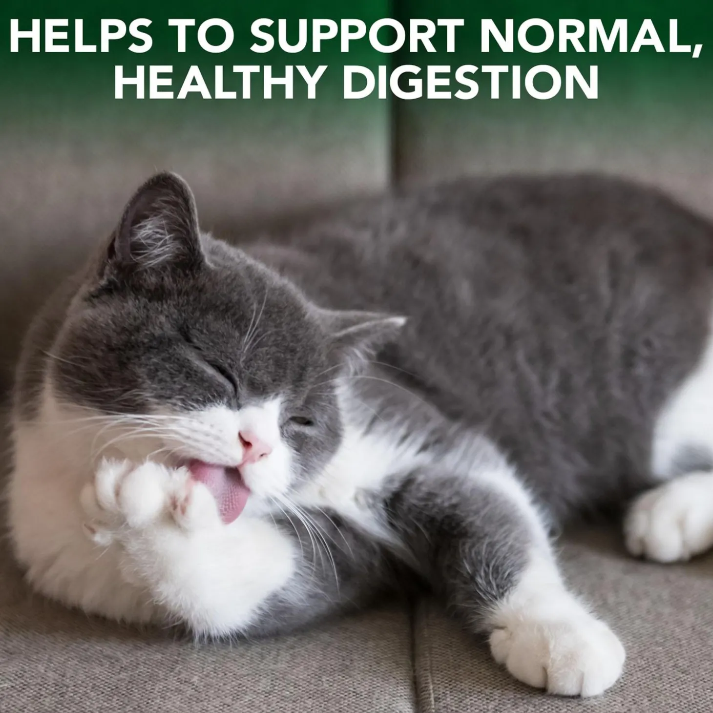 Hairball Relief Digestive Aid Cat Supplement