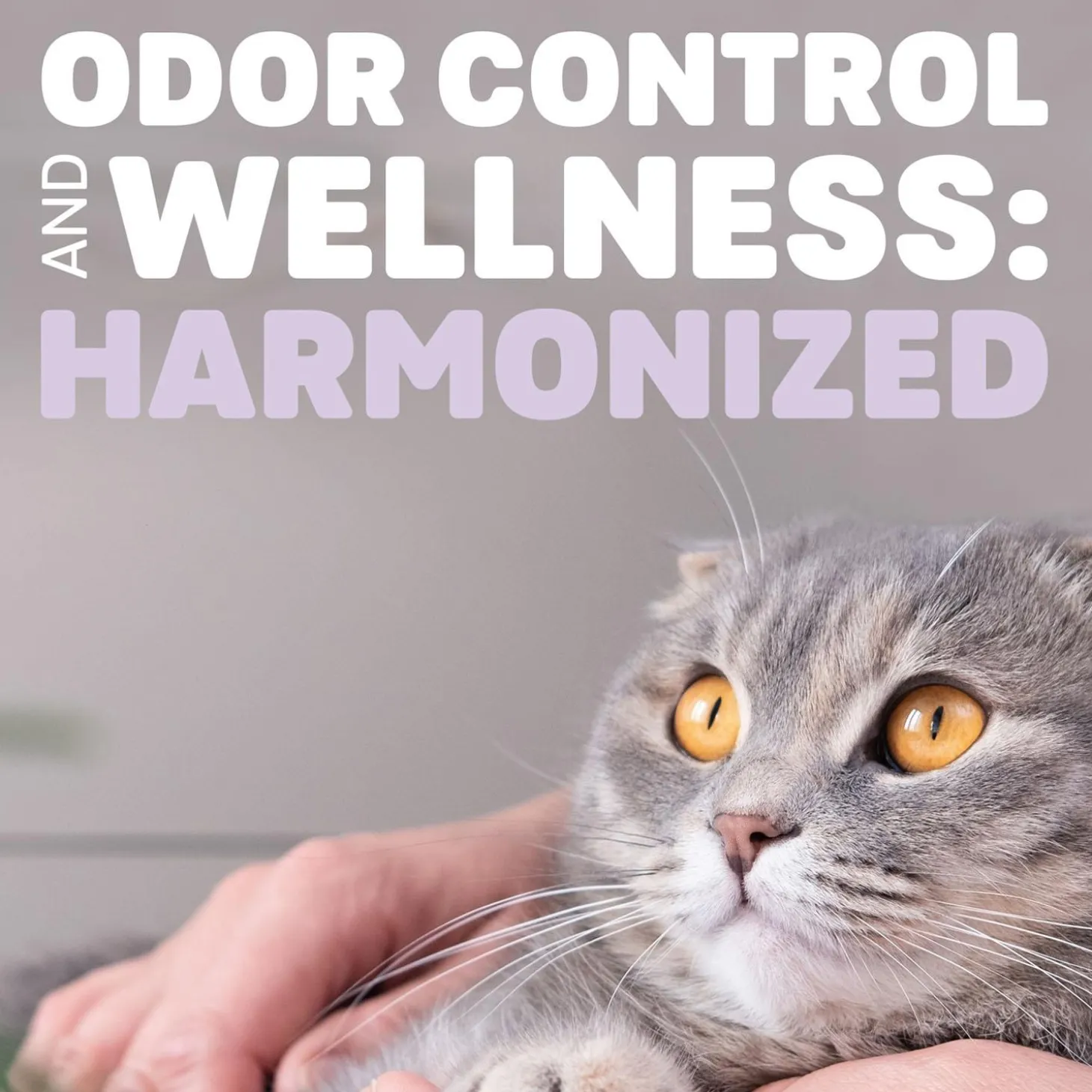 Harmony Lavender & Bamboo Cat Litter