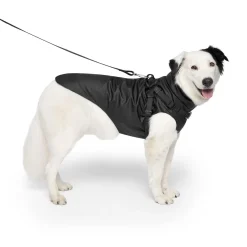 Harness Black Raincoat