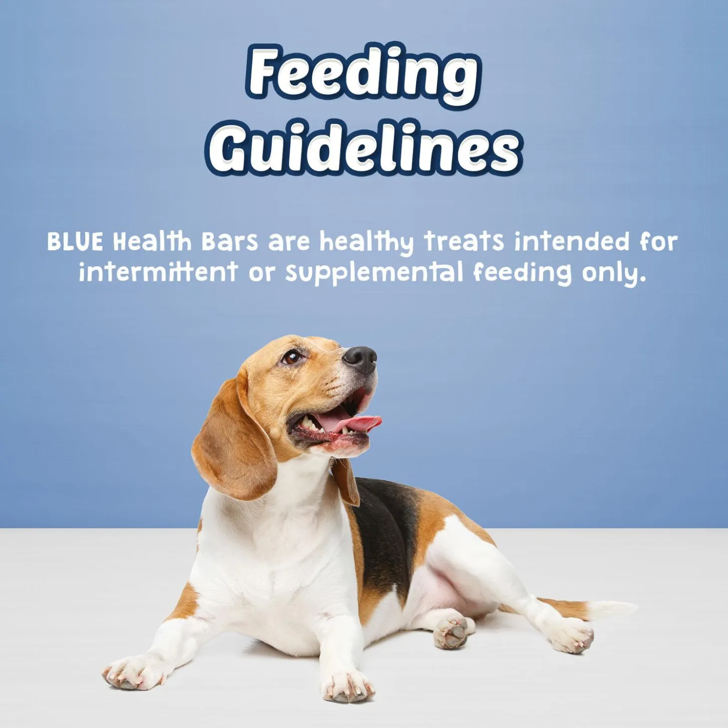 Health Bars Banana & Yogurt Original Dog Treats