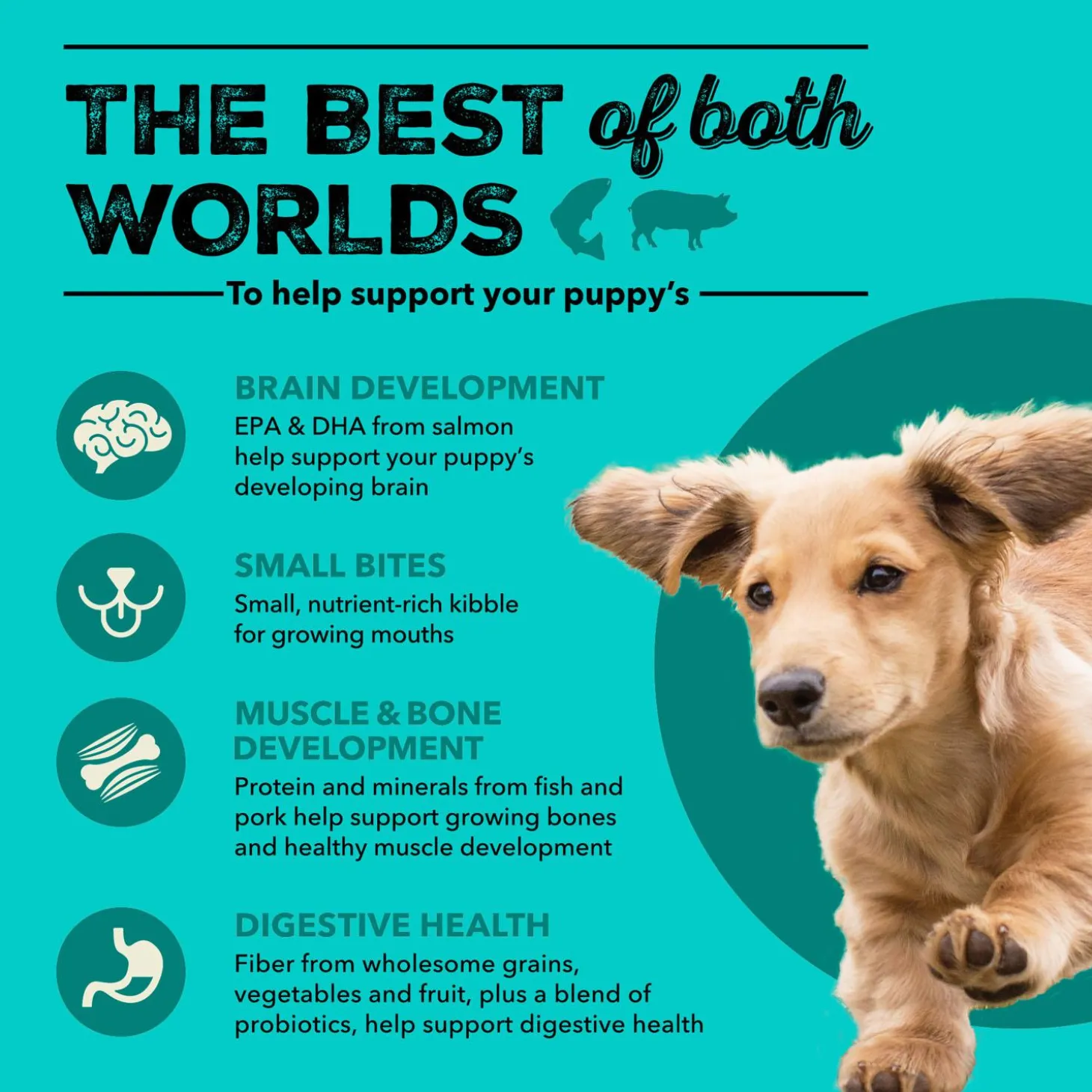 Healthy Grains Sea & Farm Recipe Puppy Dog Food