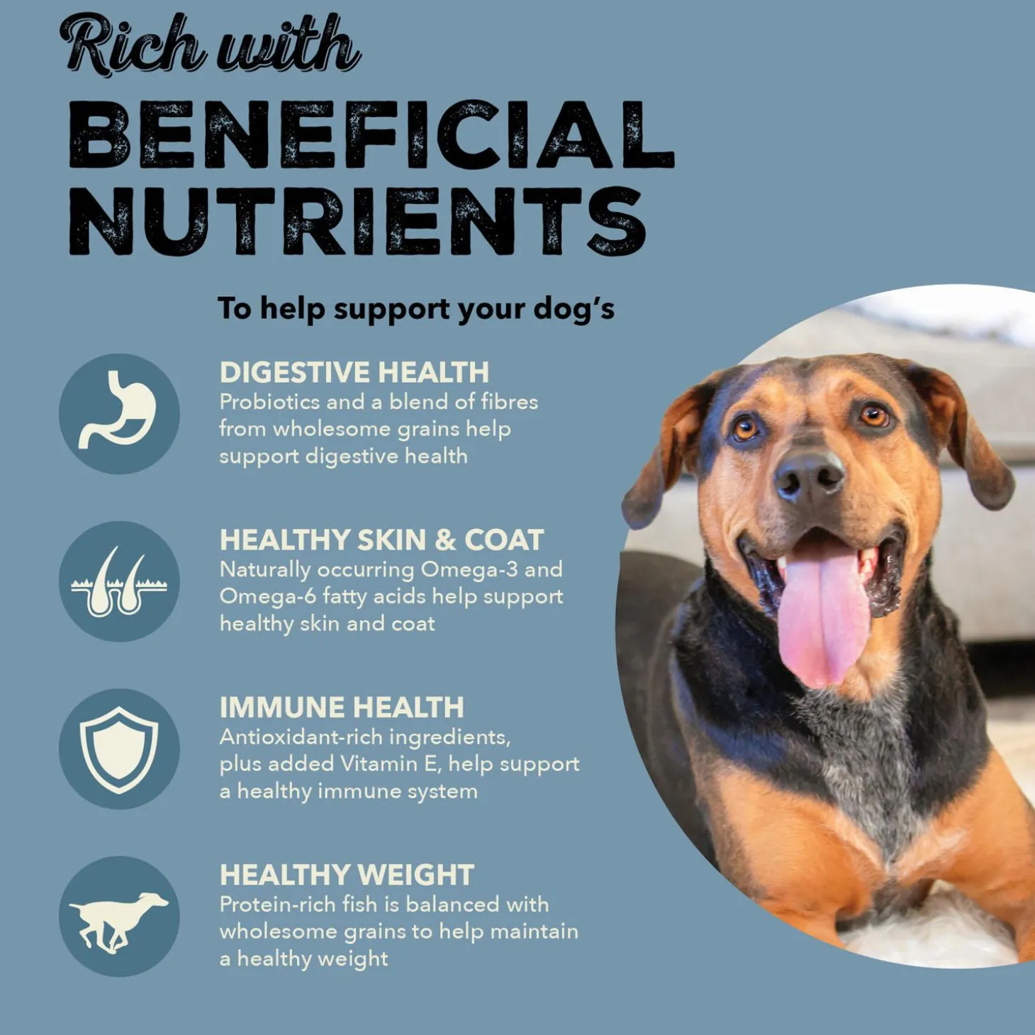 Healthy Grains Sea to Stream Recipe Adult Dog Food