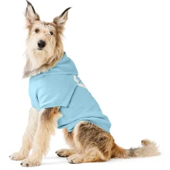 Heart Blue Hoodie